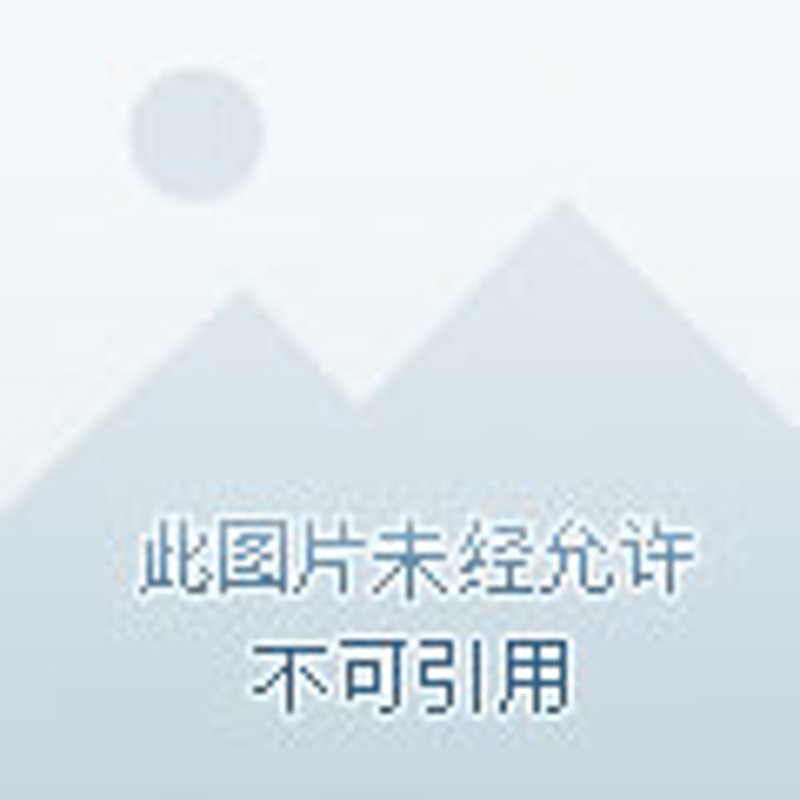 批发市场供货商